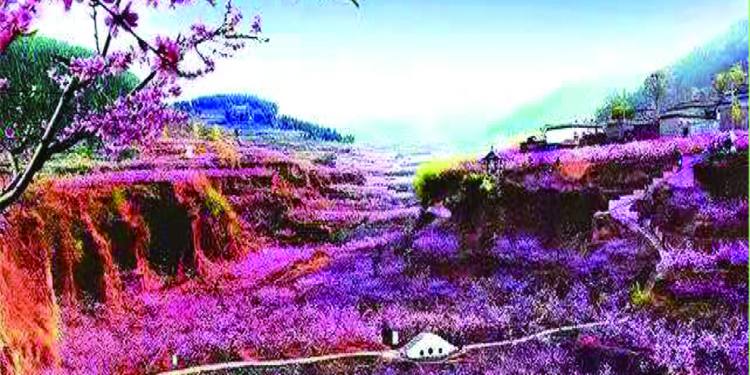 栲山文昌阁